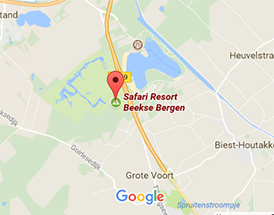 Safaripark Beekse Bergen Kaart - minimalistisches Interieur
